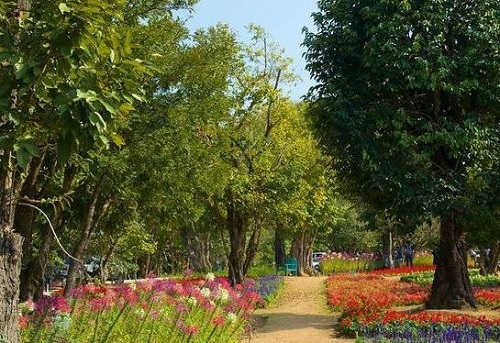 حديقة الملكة سيريكيت النباتية
